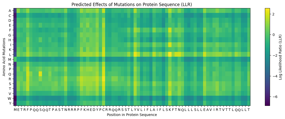 Predicted Effects of Mutations on Protein Sequence